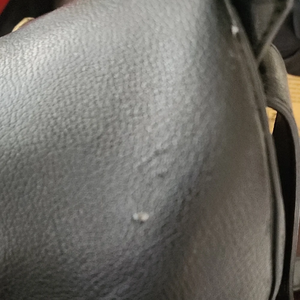 Love Moschino Black Studded Heart Backpack Gold Hardware Mini Bag OS